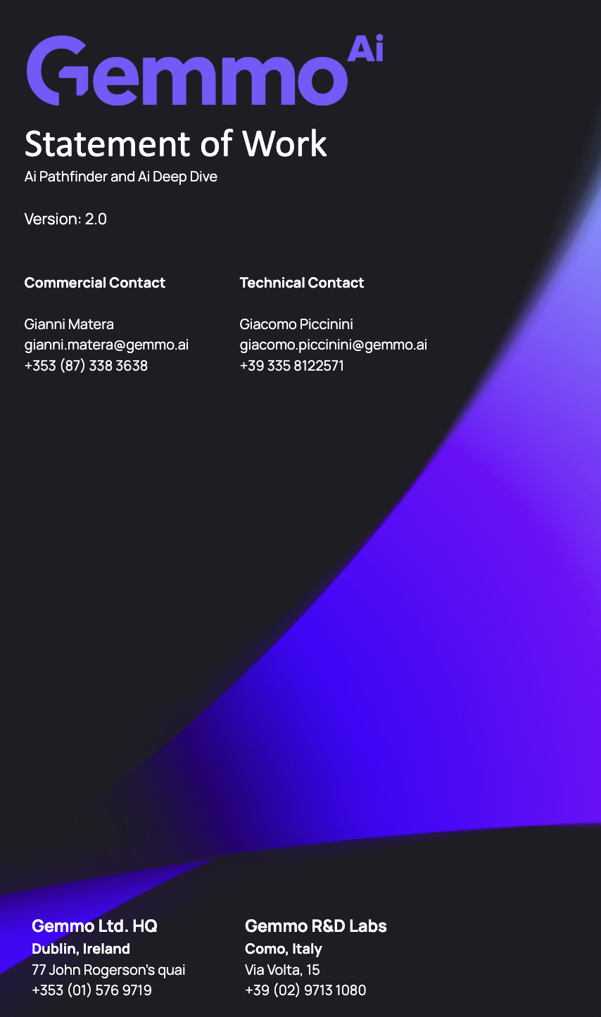 AI implementation brief — statement of work